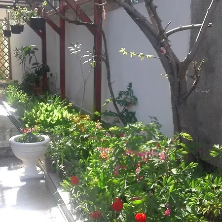 Kraybrezhna 3 Πομόριε