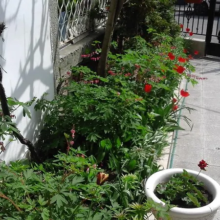 Kraybrezhna 3 Maison d'hôtes 4*