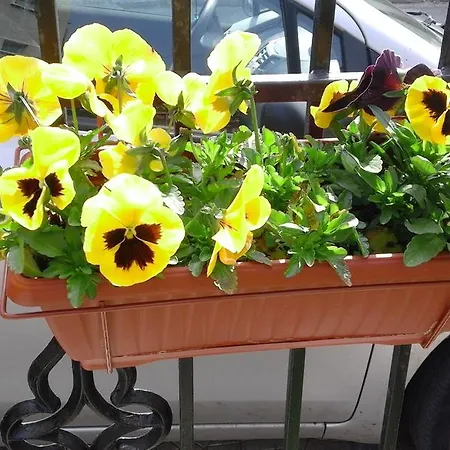 Kraybrezhna 3 Maison d'hôtes Pomorie