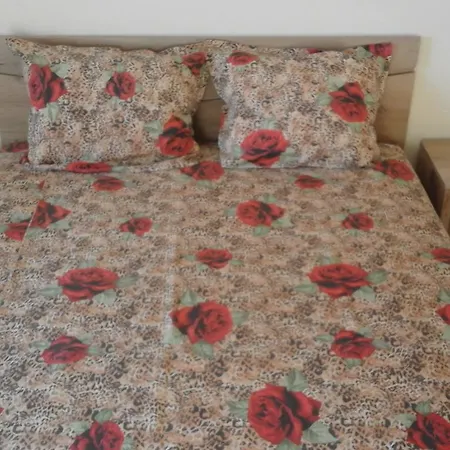 Maison d'hôtes Kraybrezhna 3 4*