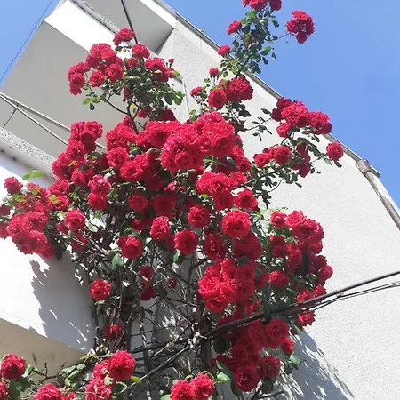 Kraybrezhna 3 Πανσιόν Πομόριε