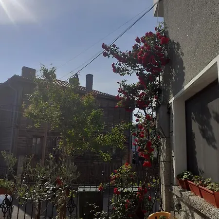 Kraybrezhna 3 Maison d'hôtes