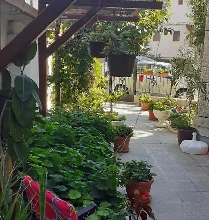 Kraybrezhna 3 招待所 帕莫瑞