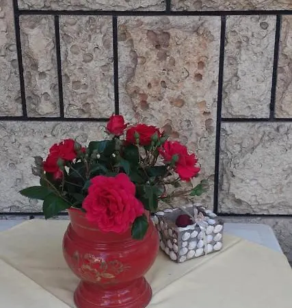 Kraybrezhna 3 * Pomorie
