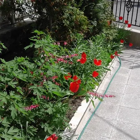 Kraybrezhna 3 Pensionat Pomorie