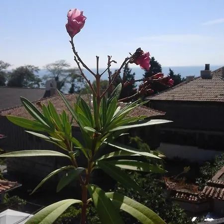 Gæstehus Kraybrezhna 3 4*