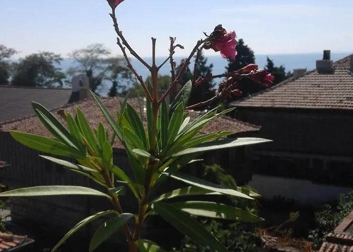 Pensjonat Kraybrezhna 3 4*