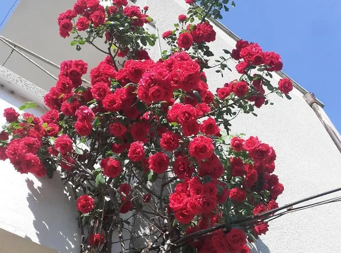 Kraybrezhna 3 Pensjonat Gmina Pomorie