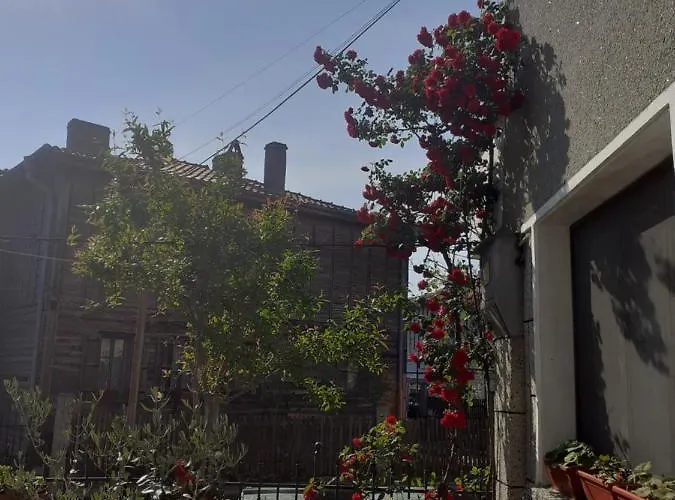 Kraybrezhna 3 Pensjonat